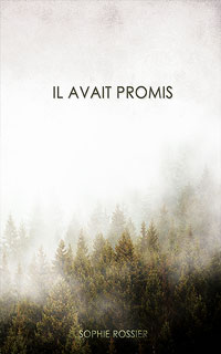 couverture du livre il avait promis